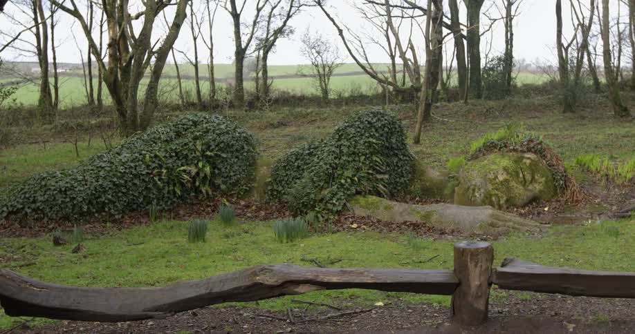 Revealing shot of a nature sculpture sleeping behind a wooden fence