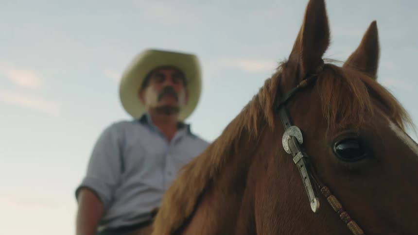 A middle aged man wearing a cowboy hat sitting on a horse letting him rest then walking on in a pasture