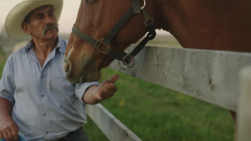 Man wearing a cowboy hat petting his horse through a fence
