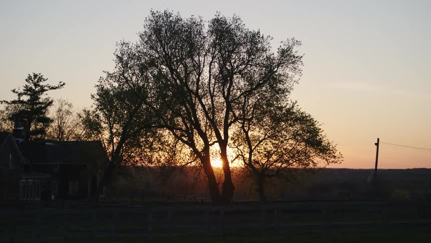 Sun setting with the silhouette of a tree in front and a house and some other trees nearby