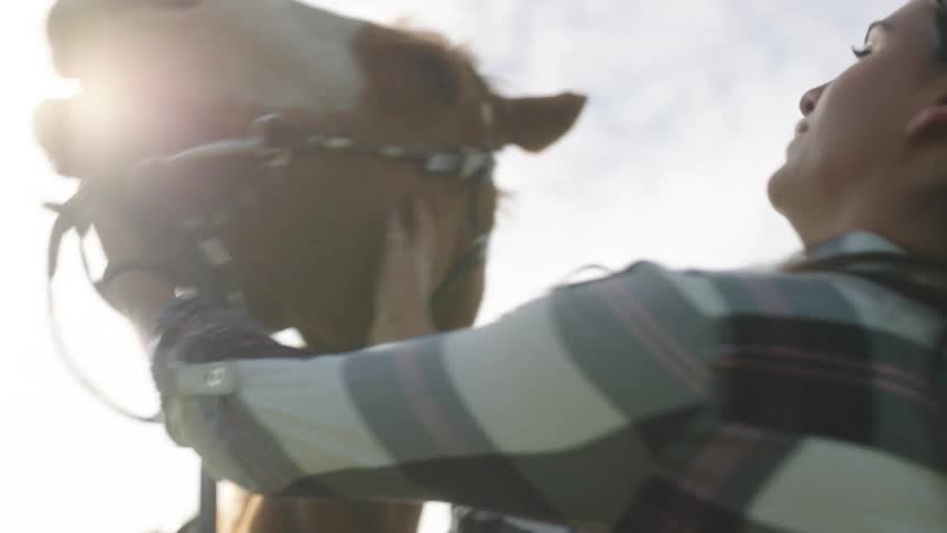 A woman petting and kissing a horse with trees the sky and clouds in the background