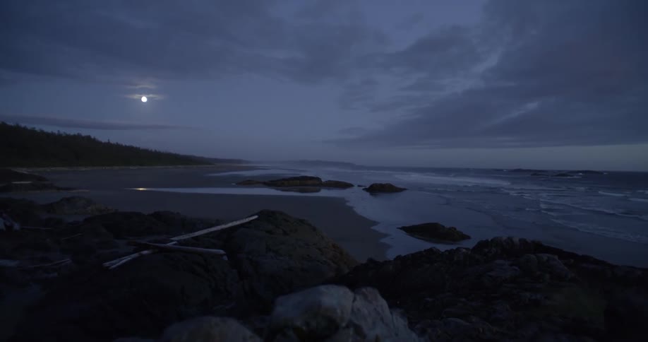 Ocean waves washing ashore a beach with the moon glowing in a night sky