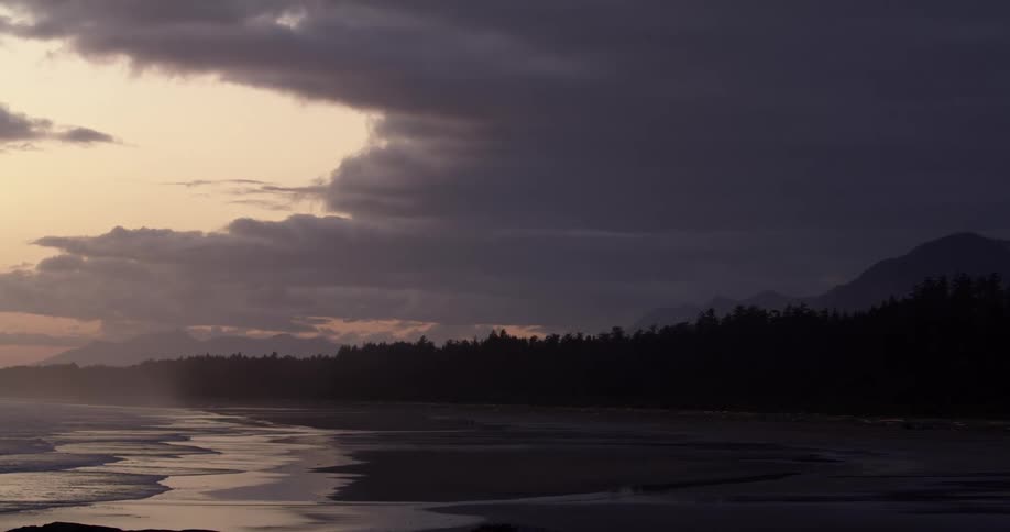 Waves rolling in on beach with trees along the coastline at dusk
