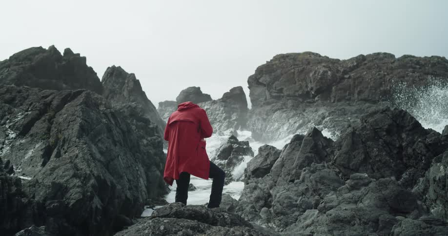 A person wearing a red raincoat stands at a rocky coastline