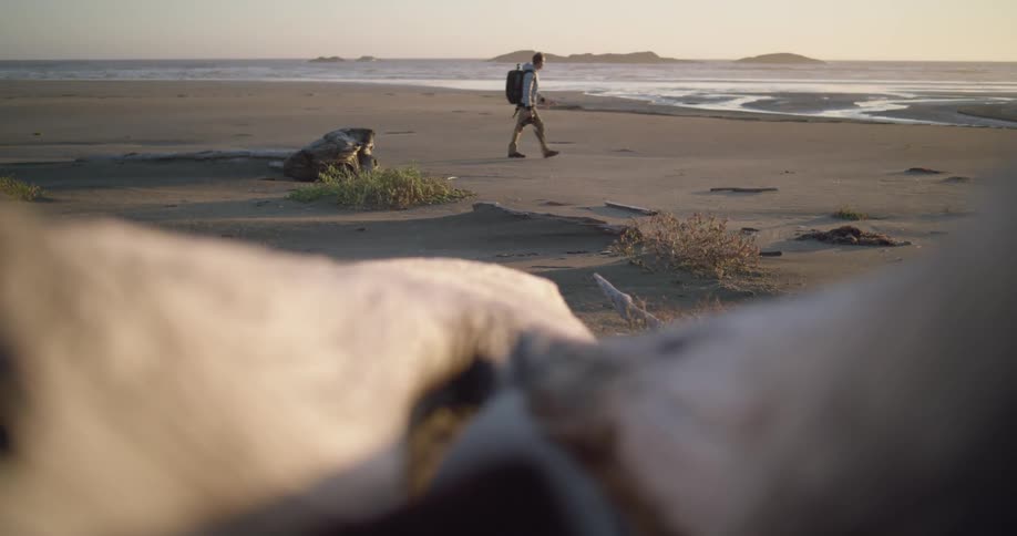 A person with a backpack walking on a beach with the ocean sky and clouds in the background