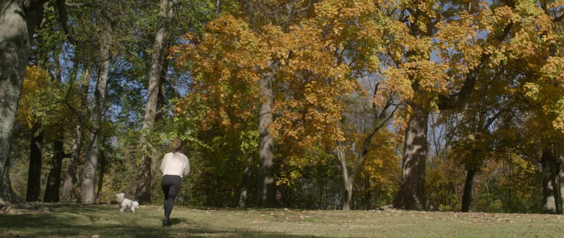A woman walking her dog in a public park