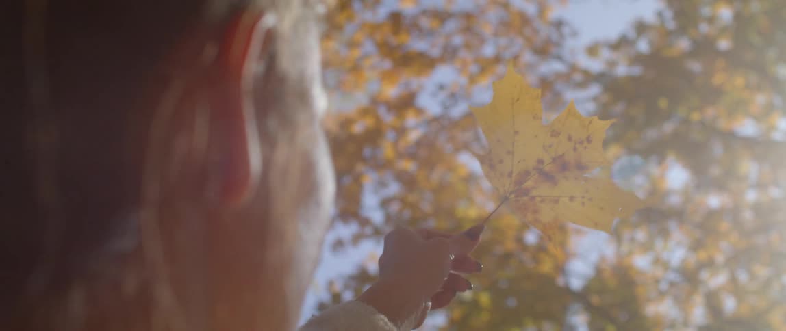 Woman holding yellow leaf among many trees with fall colored leaves on a sunny day