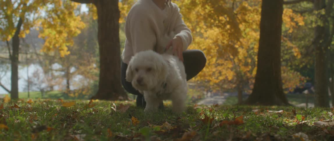 Woman with sweater and black pants holds white dog in the public park