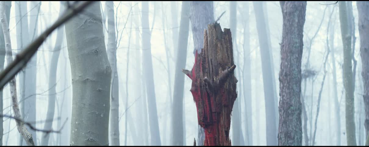 A carved tree is in the foggy woods