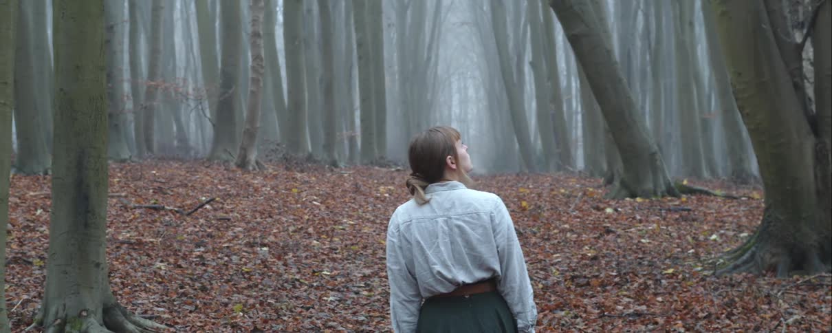 A woman standing in a foggy forest studies the tall trees with thick trunks surrounding her on an autumn day