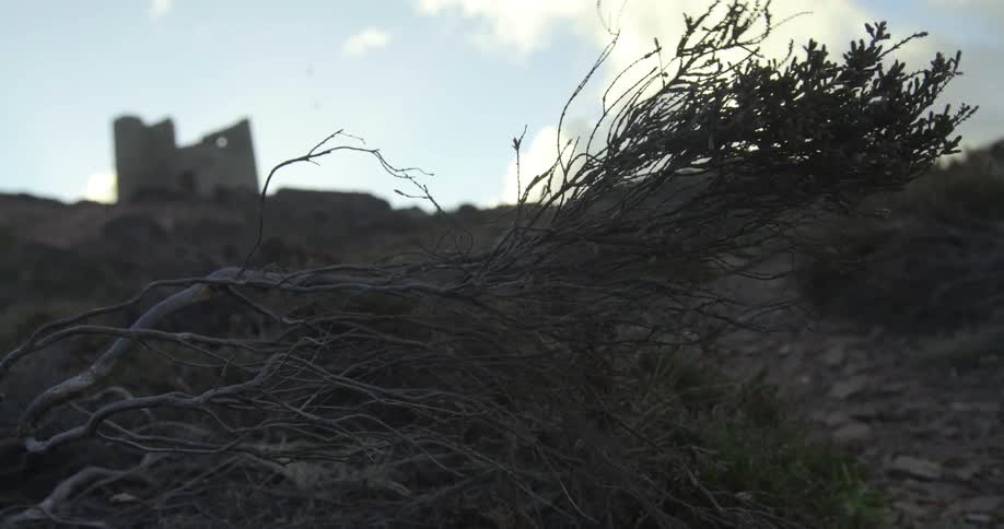 A brush branch blows in the wind on a dirt and rock slope with a structure visible at the top