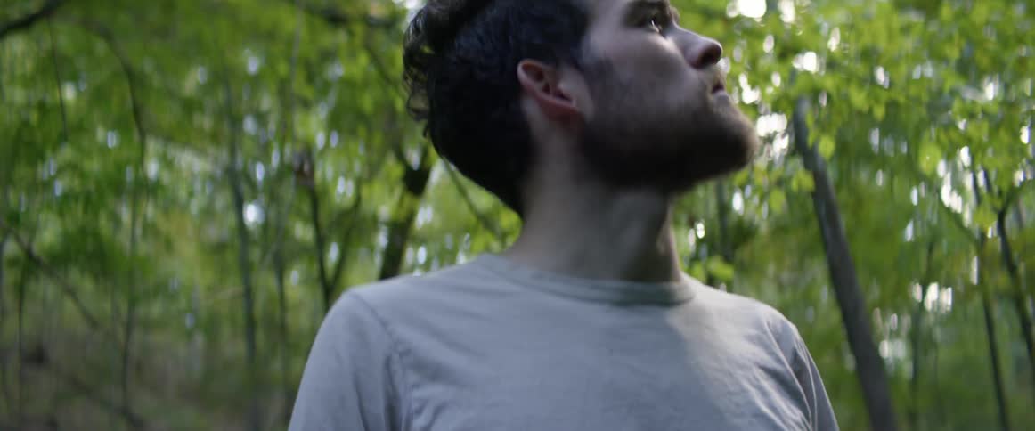 A man stands in a forest and looks up and around at the trees