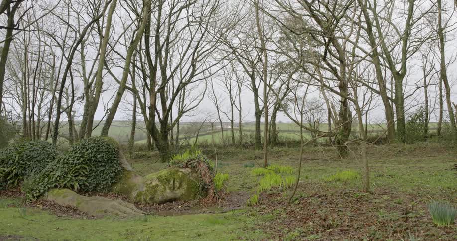 Earth sculpture laying before bare trees on a hazy day