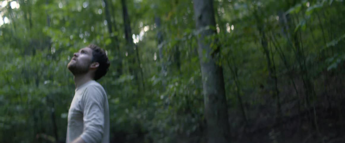 A man in a forest turns in circles looking around