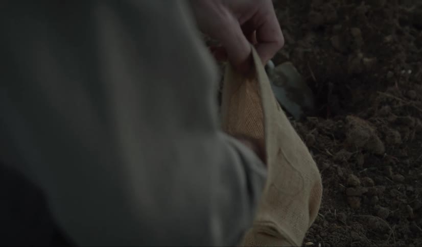 A man is gardening in his backyard in spring