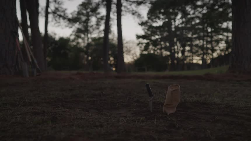 Man kneeling while gardening in the forest at sunset stands up