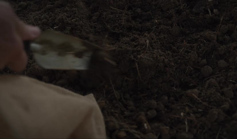A man uses a trowel and his hands to plant seeds on dark soil