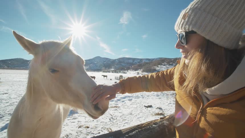 A young woman petting a white horse out in a field covered in snow