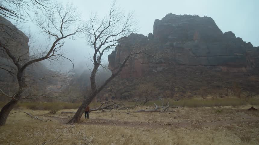 View of trees and landscape is displayed in fall
