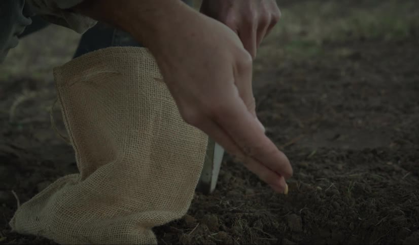 A man crouches down and takes a handful of seeds which he sprinkles into a hole in the dirt