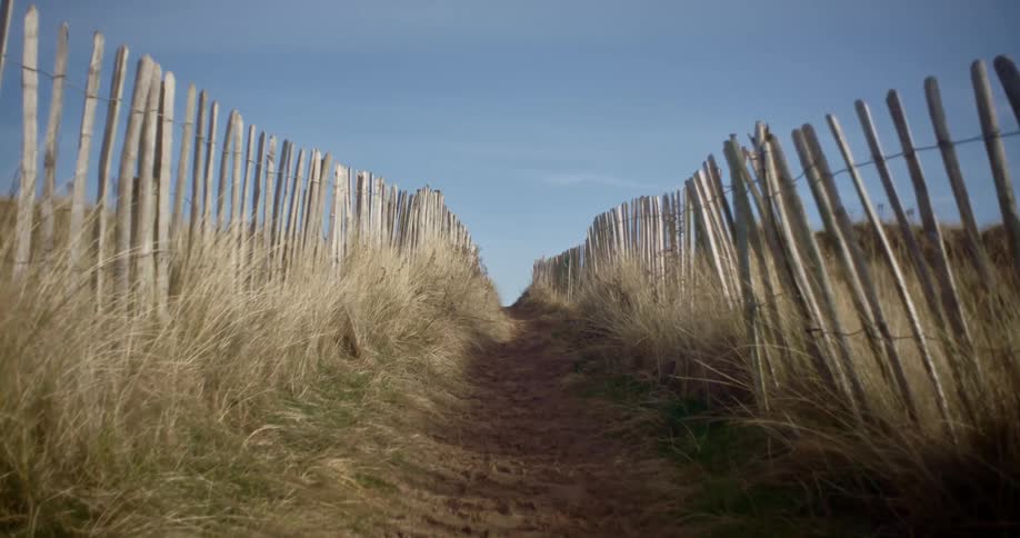 Tall grass lines the fence on the trail