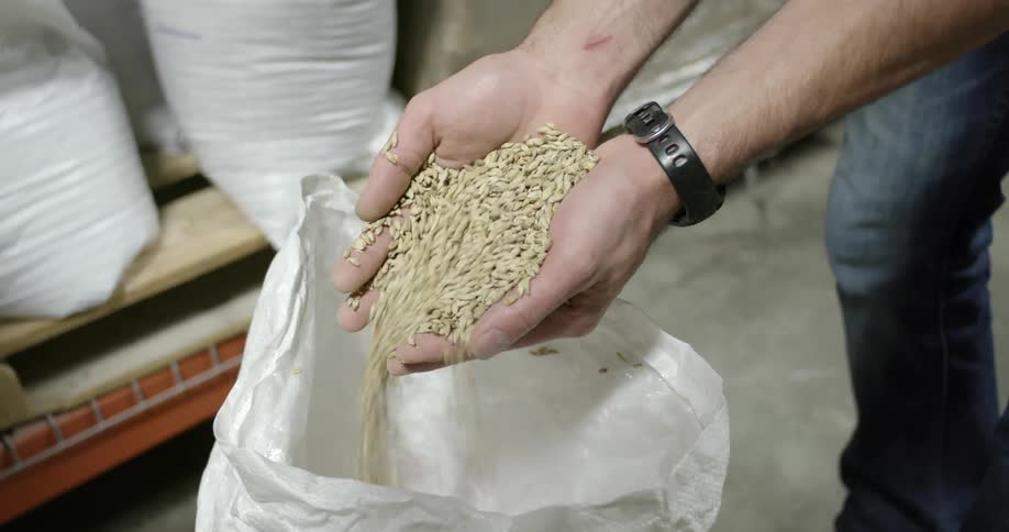 A man sifting grain hops on his hands over a bag inside a warehouse