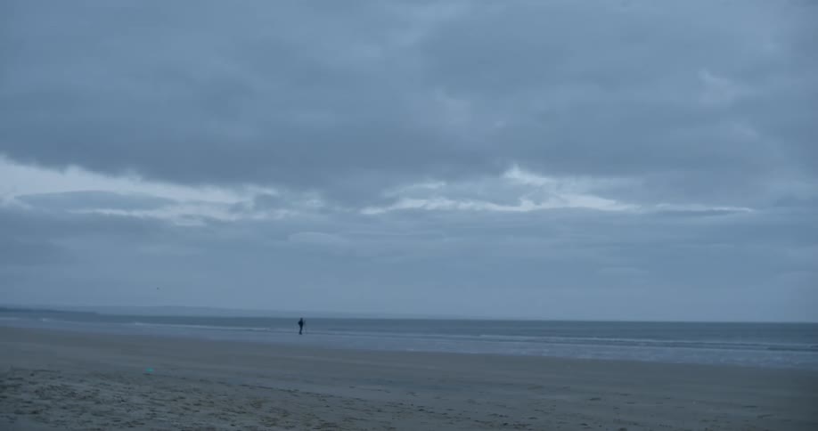 A person standing on the coast of a beach on an overcast day
