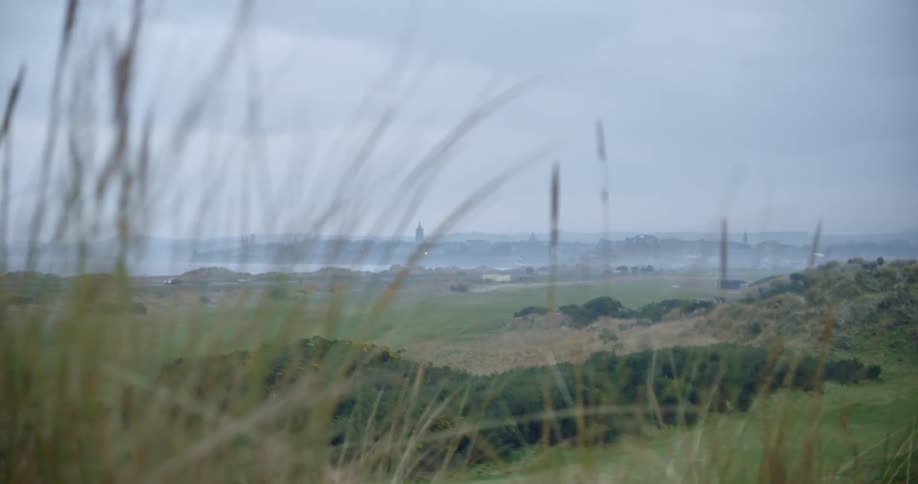 A wide shot of a field