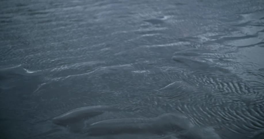 Moving shot on a beach looking at flowing water
