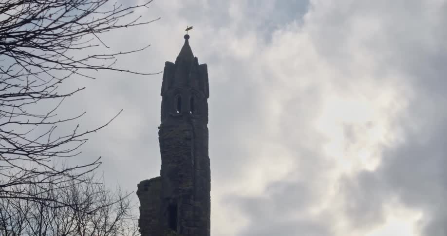 A weathervane sits at the top of a tall column on a historical building