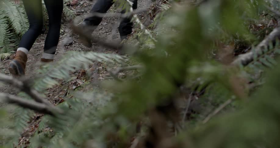 Two people are hiking in the wilderness