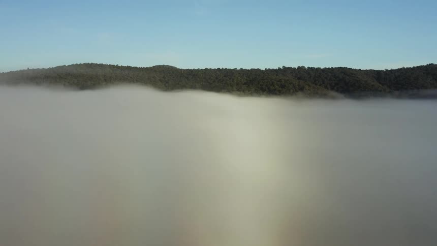 Aerial view of the forest covered mountaintops peeking over the mountains