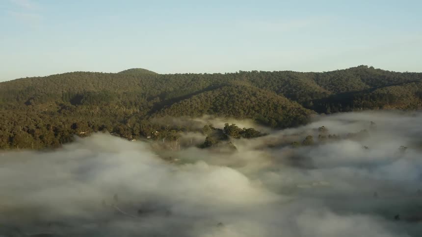 Aerial view of fog covering a forest area