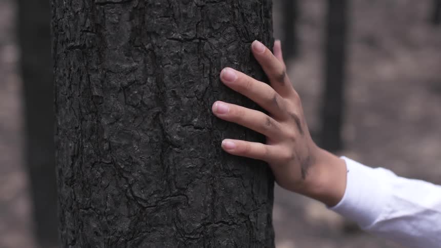A person places their dirty hand on the trunk of a tall tree as they pause and wait