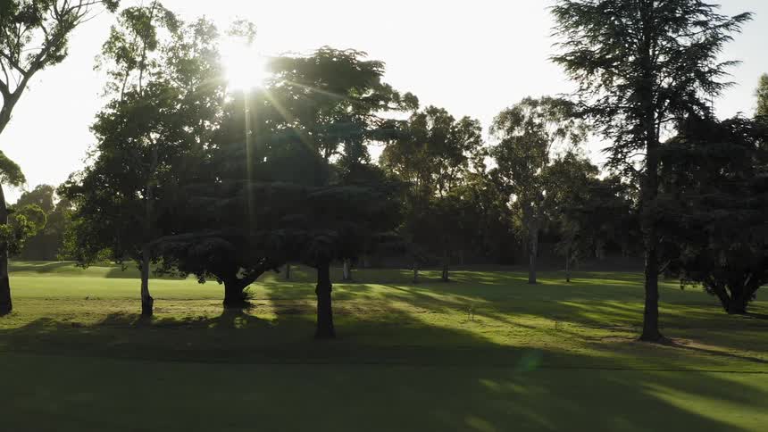 Aerial view of the sun filtering through the trees on a golf course in the morning