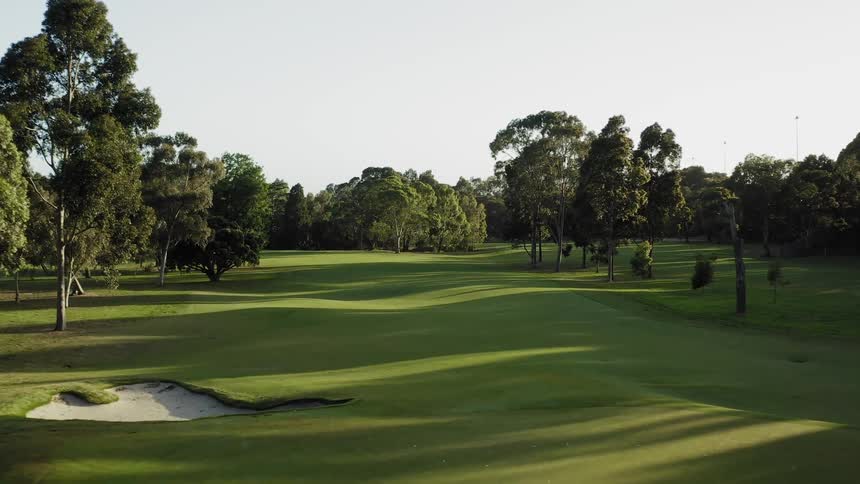 Trees are surrounding the golf course during spring