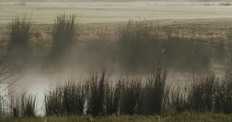 A wide shot of a river in a field