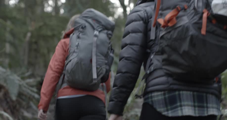 People are hiking uphill in a forest
