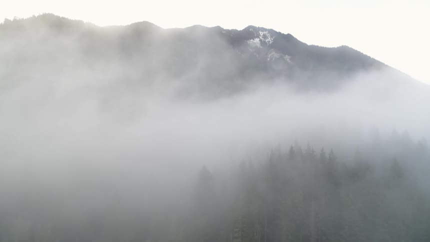 Ascending over a mountain forest as thick fog rolls over the trees
