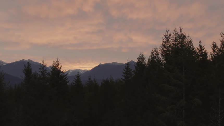 Flying above the tree tops of an evergreen forest as the sunrise paints the sky above distant mountains