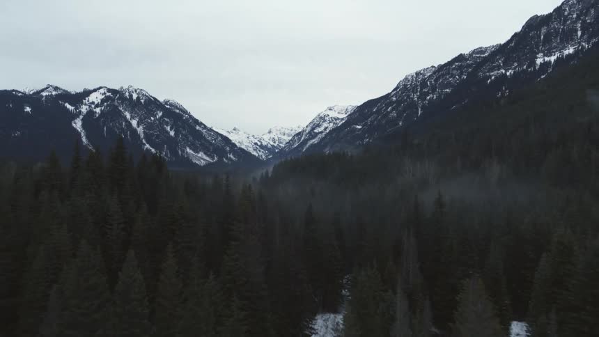 Pullback descent over misty tree tops of a mountain valley forest