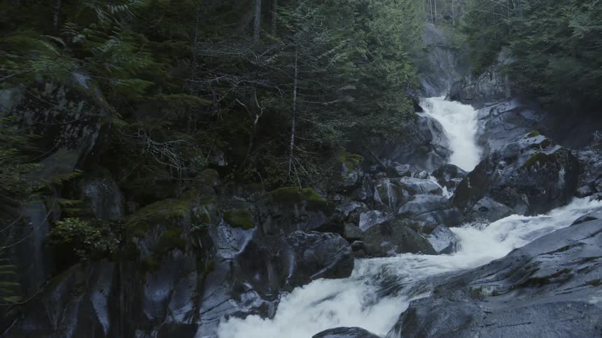 Thick green woods surround a beautiful waterfall flowing over jagged black bedrock