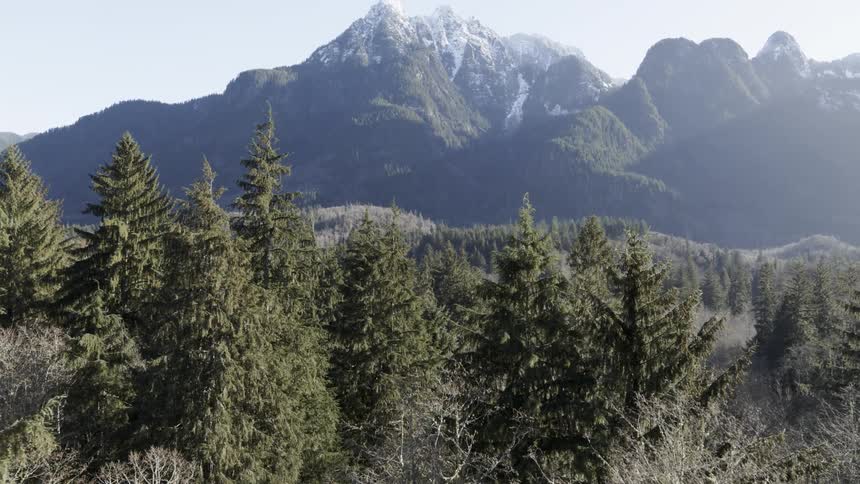 Slow pullback reveal of rugged mountain tops beyond a vast forest valley