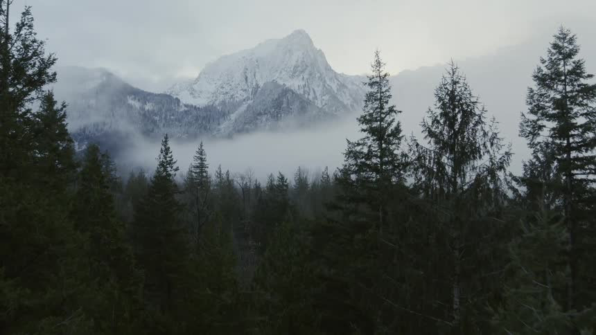 A dense fog flowing along the mountainside starts to envelop a forest below