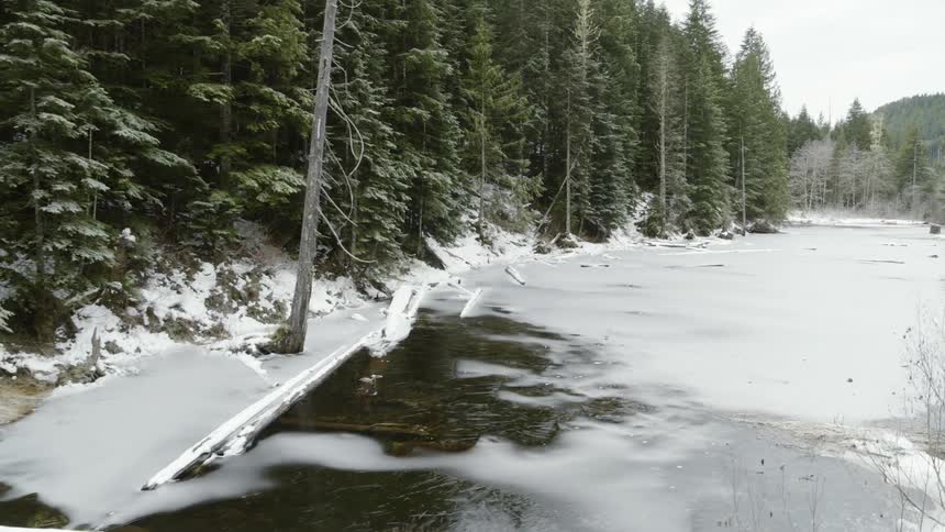 Flying along the frozen banks of a snow and ice covered forest pond