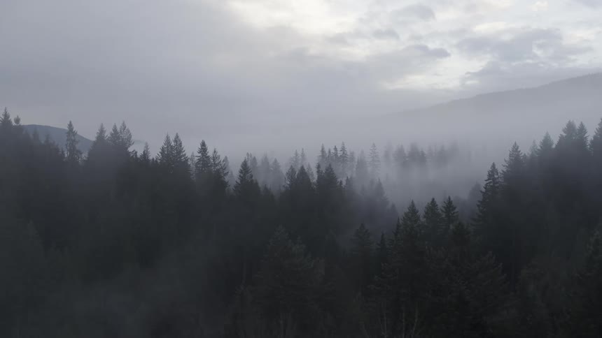 Pullback ascent over a mist and fog shrouded forest