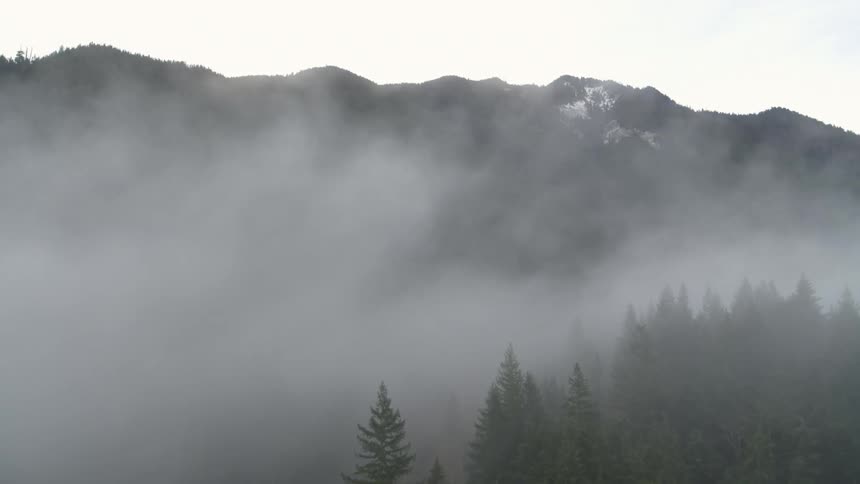 Skimming over the tree tops as fog and mist flow over a mountain range