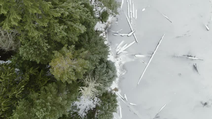 Birds eye view of a frozen alpine lake with snow covered logs and shoreline