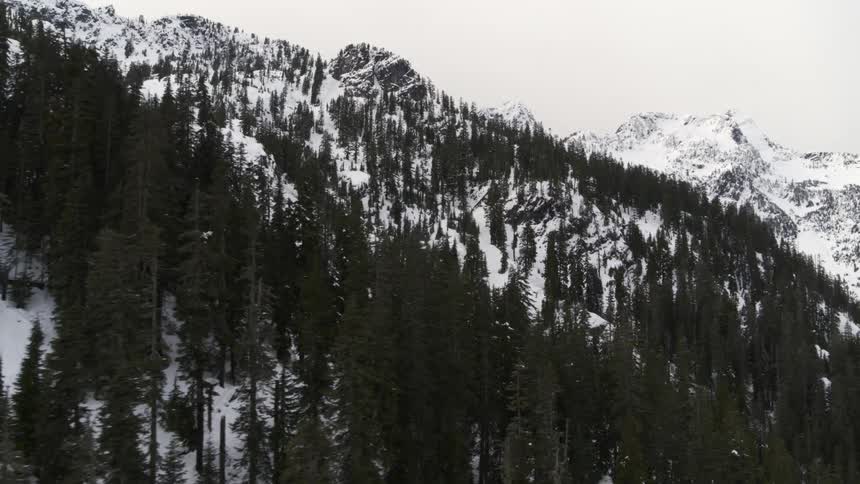 Traversing above the trees of an alpine forest on snow covered mountain slopes