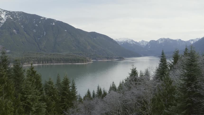 Pushing through the trees to reveal an alpine mountain lake
